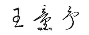 骆恒光王童予草书个性签名怎么写