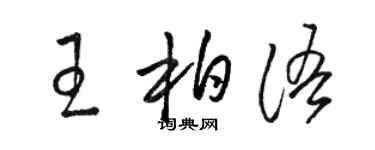 骆恒光王柏语草书个性签名怎么写