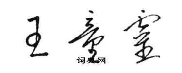 骆恒光王童灵草书个性签名怎么写