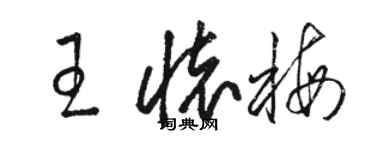 骆恒光王怀梅草书个性签名怎么写