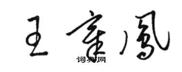 骆恒光王章凤草书个性签名怎么写