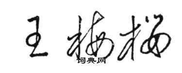 骆恒光王梅樱草书个性签名怎么写