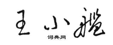 骆恒光王小舰草书个性签名怎么写