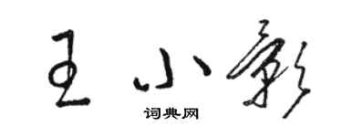 骆恒光王小影草书个性签名怎么写