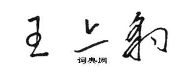 骆恒光王亦豹草书个性签名怎么写
