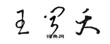 骆恒光王闻夭草书个性签名怎么写
