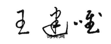 骆恒光王建唯草书个性签名怎么写