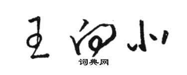 骆恒光王向北草书个性签名怎么写