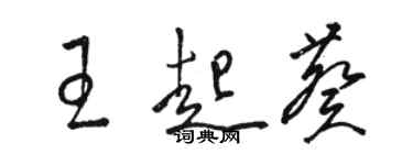 骆恒光王起葵草书个性签名怎么写