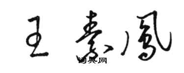 骆恒光王素凤草书个性签名怎么写