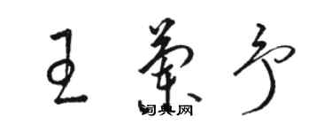 骆恒光王兰予草书个性签名怎么写
