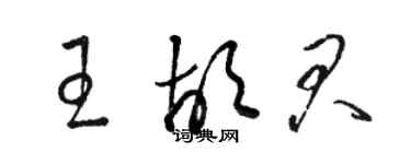 骆恒光王胡君草书个性签名怎么写