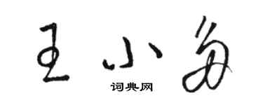 骆恒光王小多草书个性签名怎么写