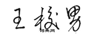 骆恒光王校男草书个性签名怎么写