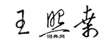 骆恒光王照桑草书个性签名怎么写