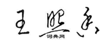 骆恒光王照香草书个性签名怎么写
