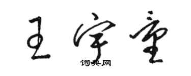 骆恒光王宇量草书个性签名怎么写