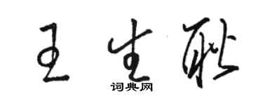 骆恒光王生耿草书个性签名怎么写