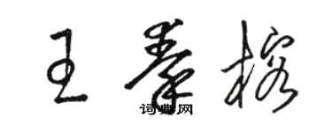 骆恒光王秦榕草书个性签名怎么写