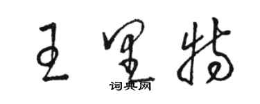 骆恒光王里特草书个性签名怎么写