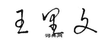 骆恒光王里文草书个性签名怎么写