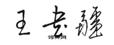骆恒光王书疆草书个性签名怎么写