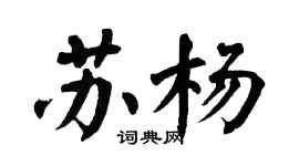 翁闿运苏杨楷书个性签名怎么写