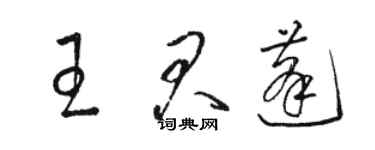 骆恒光王君蓬草书个性签名怎么写