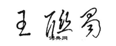 骆恒光王联蜀草书个性签名怎么写