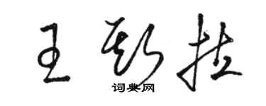 骆恒光王斯拉草书个性签名怎么写