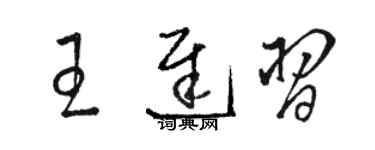 骆恒光王迟习草书个性签名怎么写