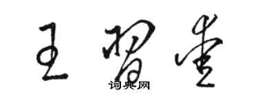 骆恒光王习爱草书个性签名怎么写