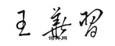 骆恒光王华习草书个性签名怎么写