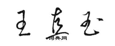骆恒光王直玉草书个性签名怎么写