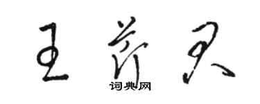 骆恒光王芹君草书个性签名怎么写