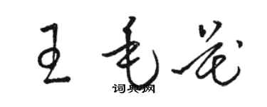 骆恒光王毛花草书个性签名怎么写