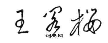 骆恒光王阁樱草书个性签名怎么写