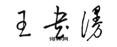 骆恒光王书漫草书个性签名怎么写