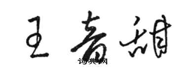 骆恒光王音甜草书个性签名怎么写
