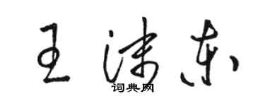 骆恒光王沫东草书个性签名怎么写