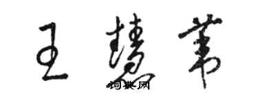 骆恒光王慧苇草书个性签名怎么写