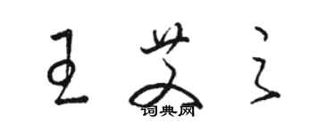 骆恒光王艾之草书个性签名怎么写