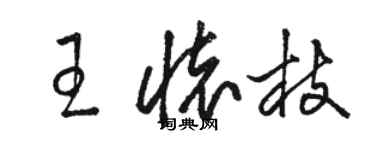 骆恒光王怀枝草书个性签名怎么写