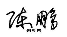 朱锡荣陈鹏草书个性签名怎么写
