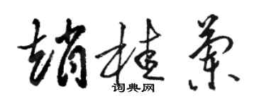 骆恒光赵桂兰草书个性签名怎么写