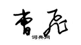 朱锡荣曹飞草书个性签名怎么写