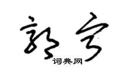 朱锡荣郭宁草书个性签名怎么写