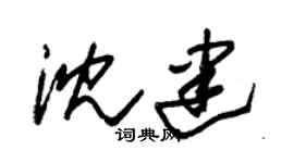 朱锡荣沈建草书个性签名怎么写