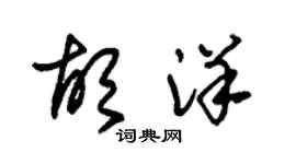 朱锡荣胡洋草书个性签名怎么写