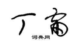 朱锡荣丁雷草书个性签名怎么写